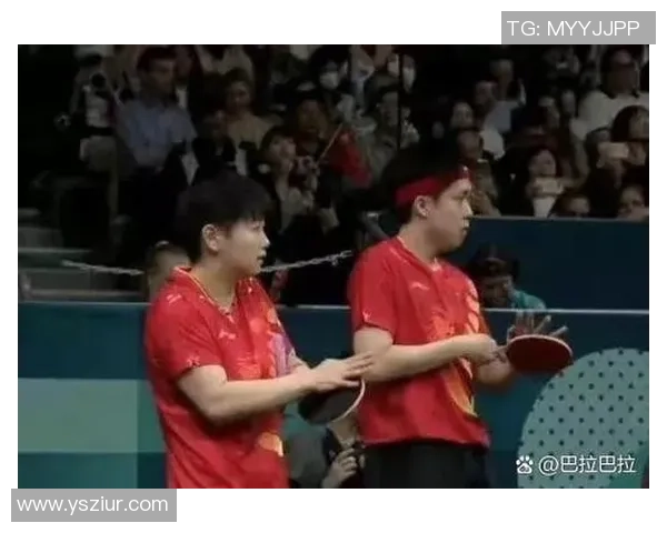 杭州乒乓球队配合引发热议球员间默契与争议的背后故事