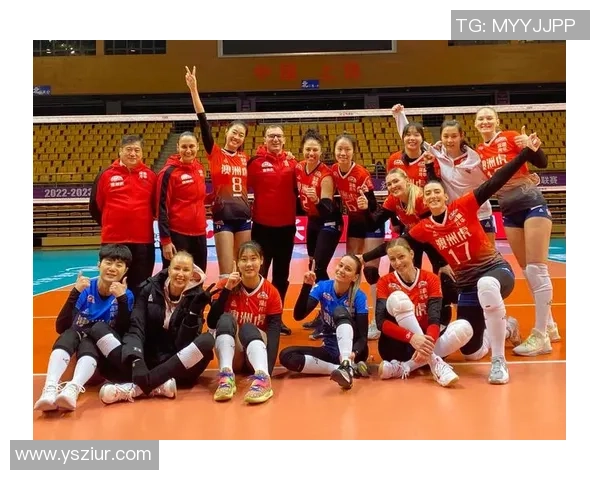 深圳排球队技术争议引发热议球迷与专家观点碰撞激烈