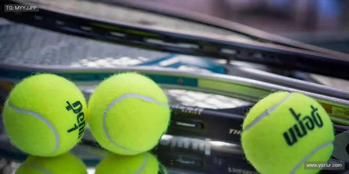 🛒球迷专属，热血助威！🎯球星同款，点燃你的热爱！